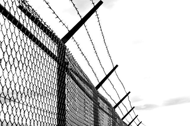 Types of Security Fencing: The Definitive Guide