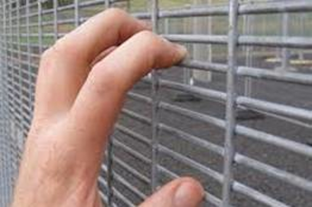 Anti Climb Welded Mesh